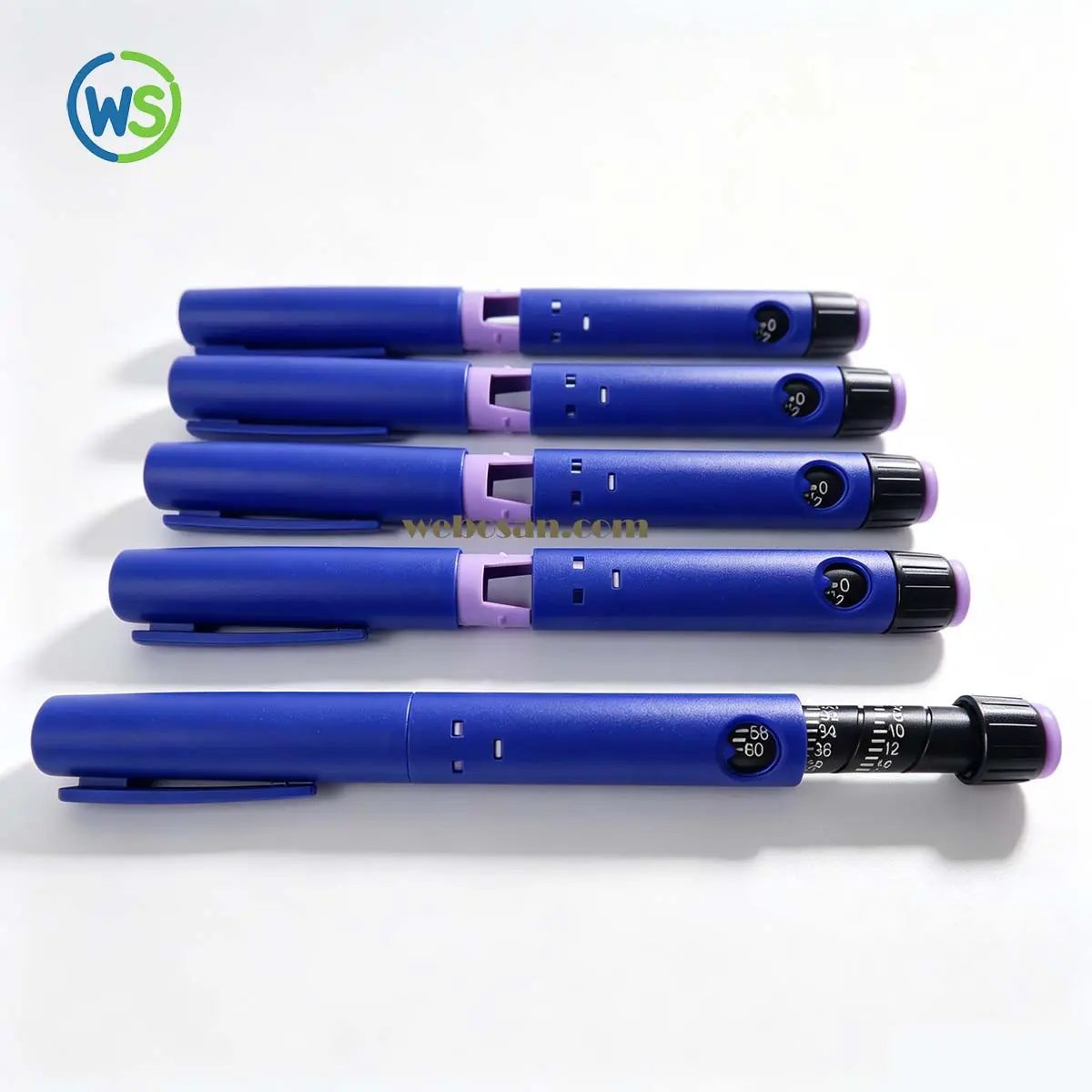 WS-DS01 blue finish high-resolution detail view 4