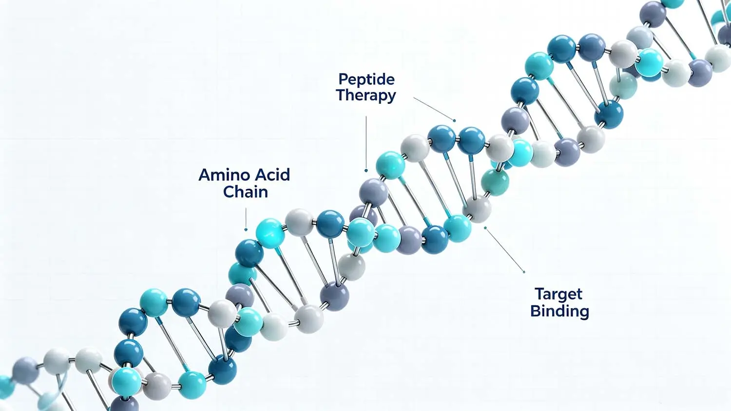 极简多肽分子结构图——器械主张仅限给药硬件